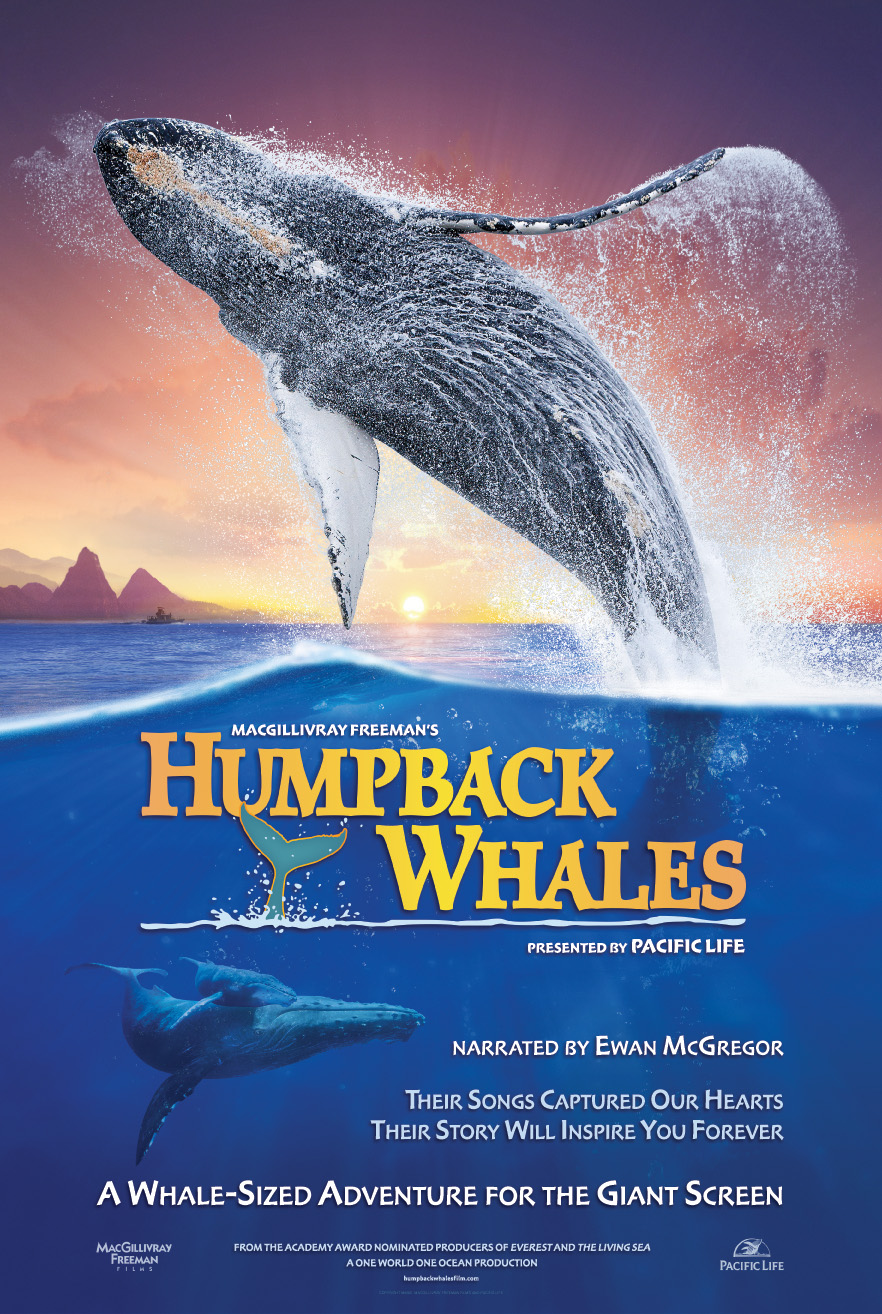 Humpback Whales > K2 Studios