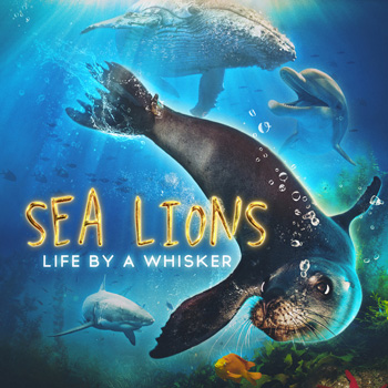 Sea Lions: Life by a Whisker > K2 Studios