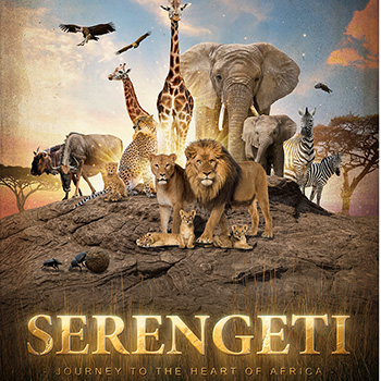 Serengeti > K2 Studios